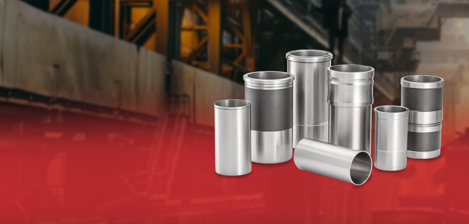 Quality inspection of centrifugally cast cylinder liners